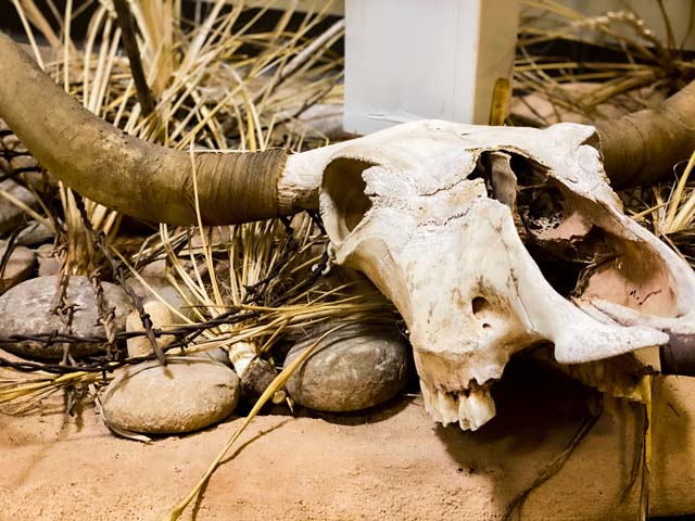 Red River Valley Museum